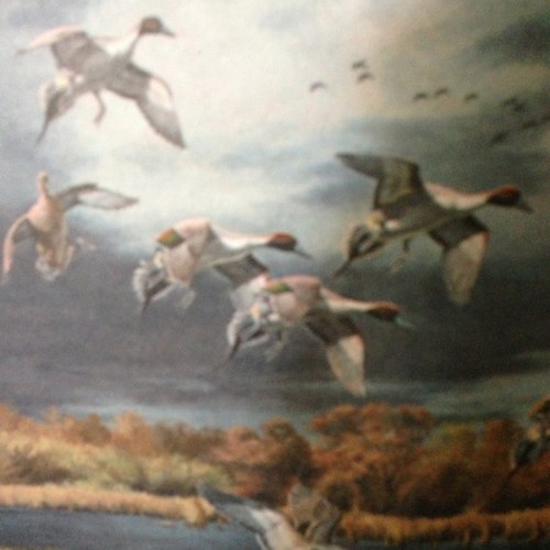 smokenetoe's profile picture. 