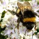 claire shepherd - @claireshepherd7 - Twitter