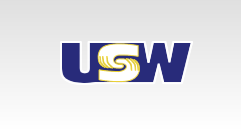 Solidarity News is for Steelworkers of the Bridgestone Council or anyone interested in tire industry labor news.