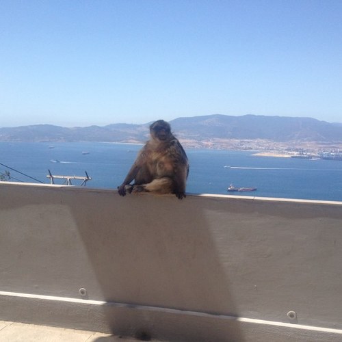 stevenhughes84's profile picture. 