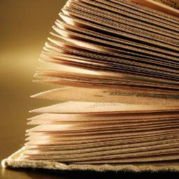 AlScriptaManent's profile picture. 