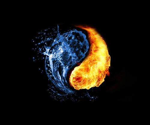Citizen of the Earth