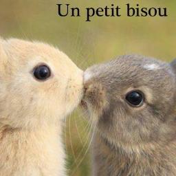 humoriste avec mon acolyte @Charly2336 ! Fonctionne à l'énergie solaire. Petites pattes du blog : https://t.co/x7rCsNRpwq 🤔