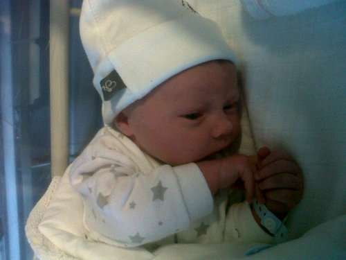 daylinmimi's profile picture. 