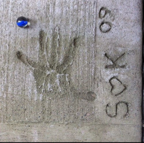 arbormd's profile picture. 