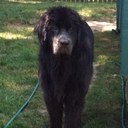 Alicia Day - @A1bitt - Twitter