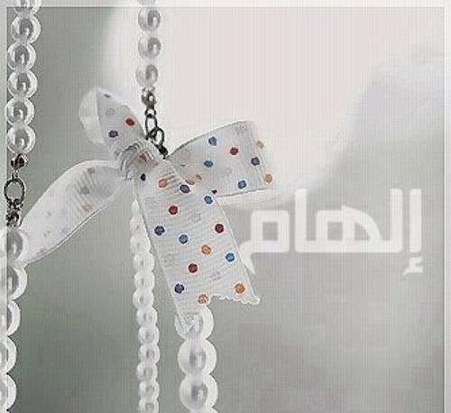 انقــل مآ يروق لي وما التمــس به فآئــدة