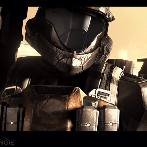 Heavy weapons specialist for the 105th div. Orbital Drop Shock Troopers.