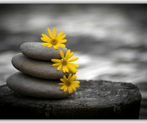 forandroid06528's profile picture. 