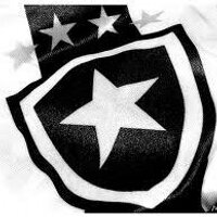 Meu Botafogo (@meubotafogo) 's Twitter Profile Photo