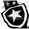 MeuBotafogo's profile picture. No peito brilha uma estrela solitária!
http://t.co/3pAouKK0LW