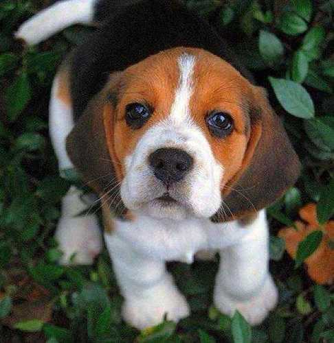 Reba_ngwenya's profile picture. Life is too short to dwell on the past and worry bout the future...live in the moment and let loose