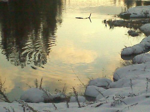 Jakefromidaho's profile picture. Been out at sea for as long as I can remember