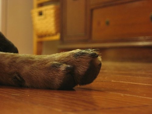 tinafink06's profile picture. 