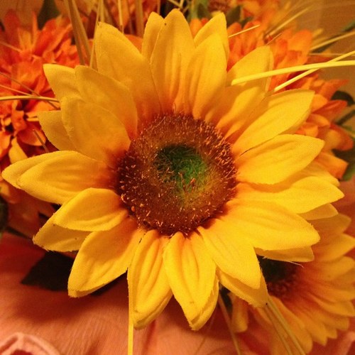 stopai's profile picture. 