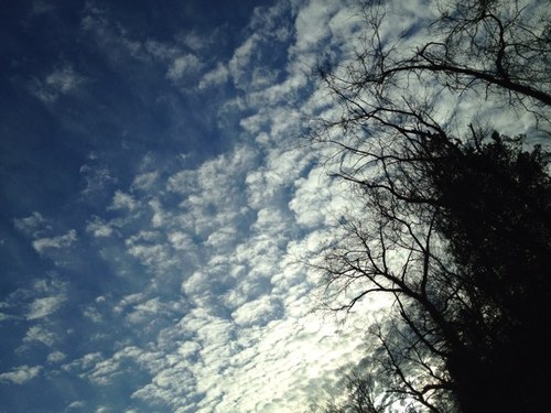 rono0828's profile picture. 