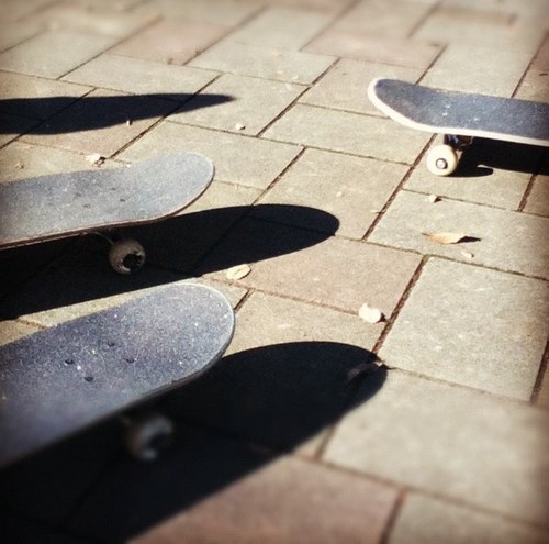 yantoooing's profile picture. skateboardr