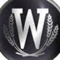 WealthTVBoxing's profile picture. 