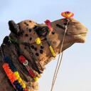 Guy Burgess - @pedderton - Twitter