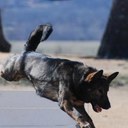 Travis Pettit - @SchHTravis - Twitter