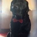 Regan Wallace - @wallace_regan - Twitter