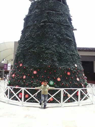 EscobedopeaPerc's profile picture. 