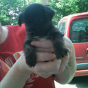 sarah-jane ayres - @sarahayres79 - Twitter