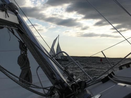 littlelatitudes's profile picture. 