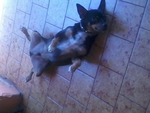 http://t.co/haoKbXuKD8