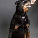 Martin Willson - @MartinWillson - Twitter