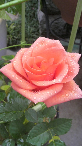 yu_saku94's profile picture. ミスチル・KATーTUN・リンキン・ワンオク・ACIDMAN ・東方神起・SJ・バンタンなど音楽大好き♪ 無言でフォロー・時々リツイしまくりますがヨロシクです^ ^