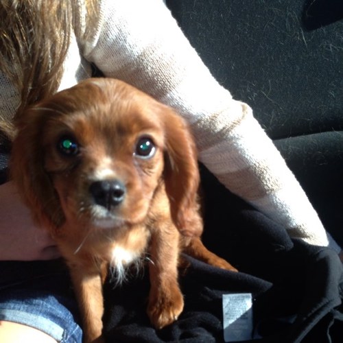 elainebe29's profile picture. 