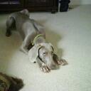 Hunter Newman - @huntman87 - Twitter