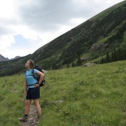 terifiktomato's profile picture. 