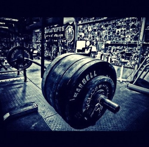 PositiveLifting's profile picture. Trying to give motivation to change the world