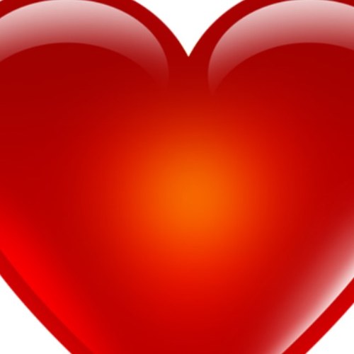 MalteaserThe's profile picture. By following this page, you are commuted to helping to change the world through kindness. Always be kind to others and help others be kind.