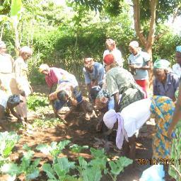 Improve food security and advocate for sustainable agri-business supply chains. All to guarantee a food secure world.