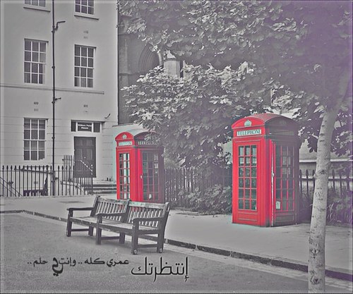 algoryyyy's profile picture. 