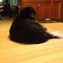 Mary Ehrlich - @MaryEhrlich - Twitter