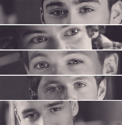 I ♥ One Direction. #FollowBack #Directioner #1D #Belieber