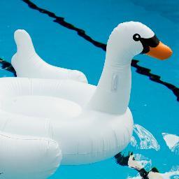 Now you can finally buy inflatable pool swans in Australia. http://t.co/kT9ntwaH