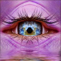 SaraBCohen's profile picture. Producer and  Presenter on 567 Cape Talk & Talk Radio 702. Trainer; MC; Anarchist; Media Hound: Animal Lover