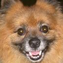 Elinor Baker - @baker_gictest - Twitter