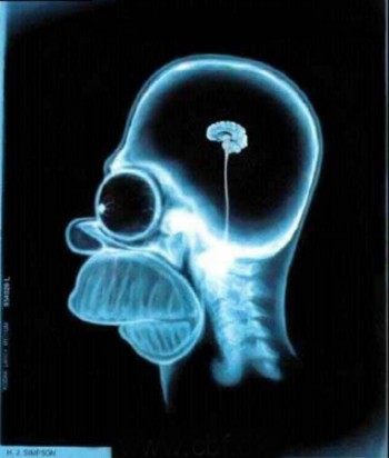 pixioline's profile picture. 