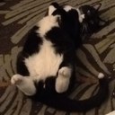 Jane Davis - @jrdavis29 - Twitter