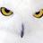 MabelCaceresC's profile image