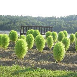 ぽつりぽつりと。