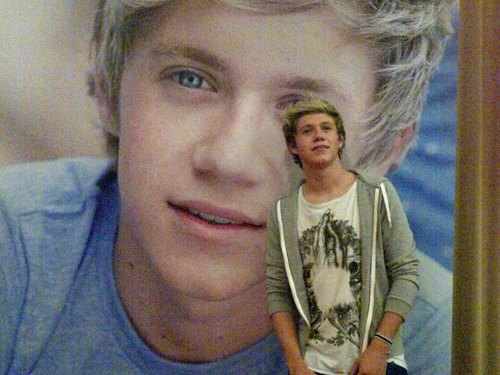 Niall Horan! I'm the Irish one in One Direction ! #ATHFamily