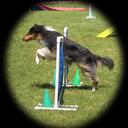 Roxanne Dwyer - @myauntrox - Twitter