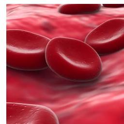 myonazi's profile picture. Haematologist, Muhimbili National Hospital